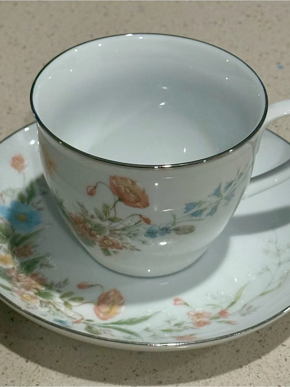 White Porcelain Teacup and Saucer with Pastel Floral Design and Gold Trim